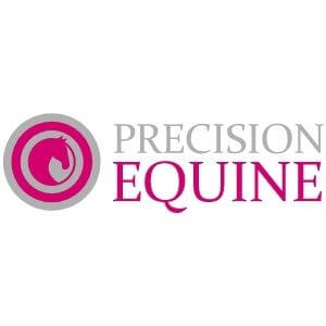 Precision Equine logo